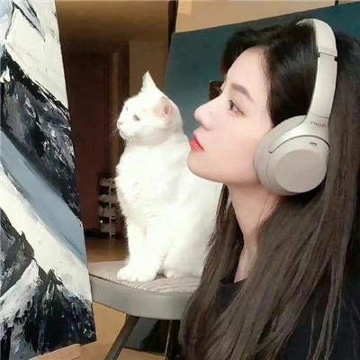 茅趸王