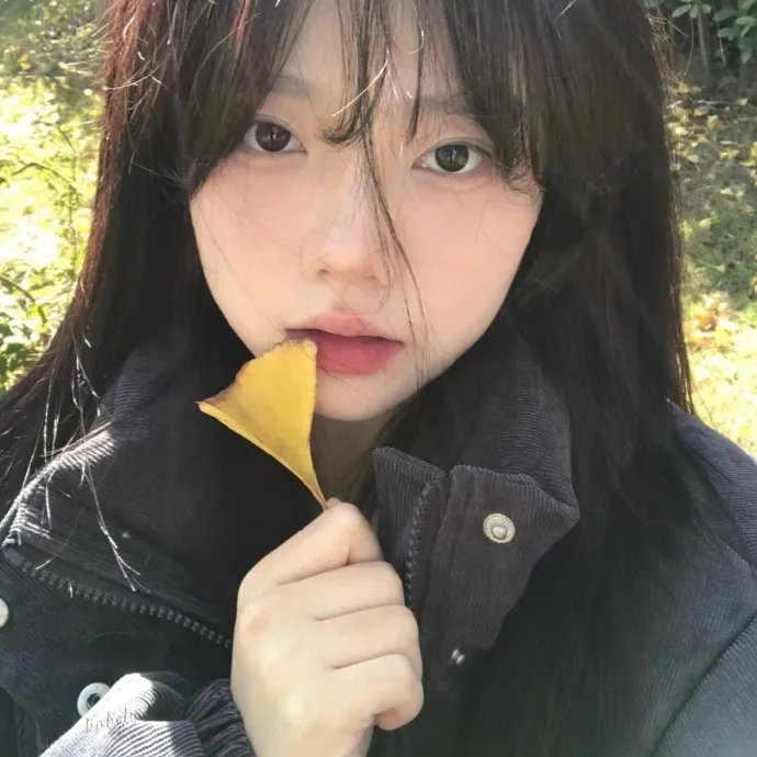 泪洒女人花
